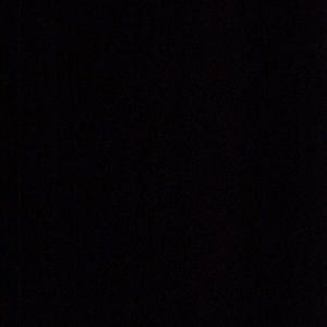 Meet your Posher, Shaquitha